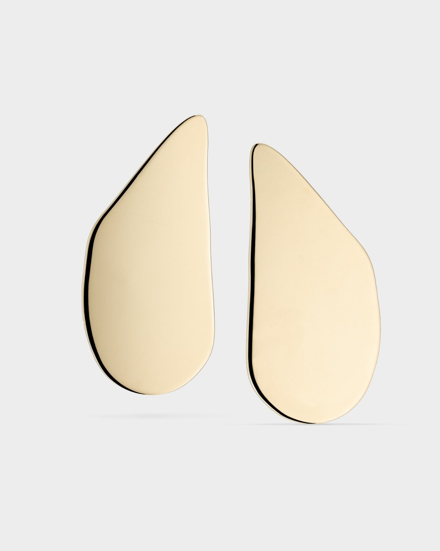 14k gold glossy seashell earrings 